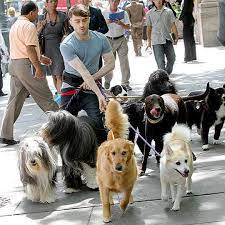 Cruisin Canines