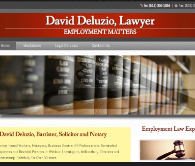 David Deluzio, Lawyer