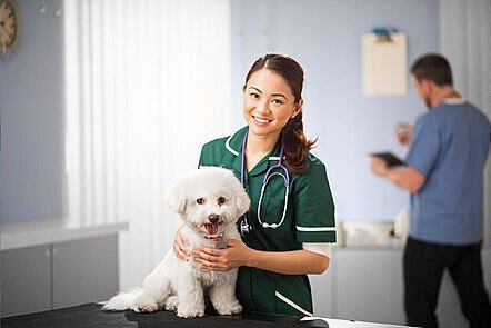 VCA Canada Alta Vista Animal Hospital reviews