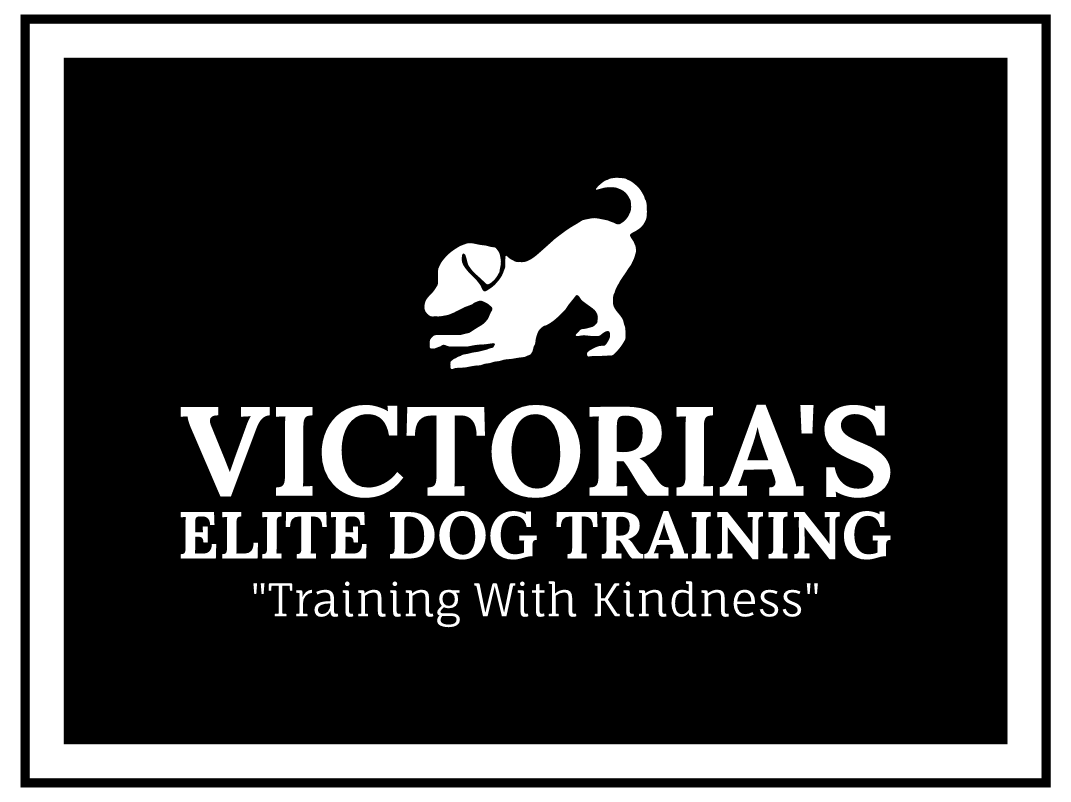 Victoria's Elite Dog Training Services