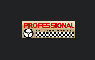 Professional Driving School