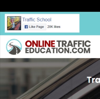 Online Traffic Education