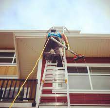 Friendly Giant Window, Gutter & Roof Cleaning