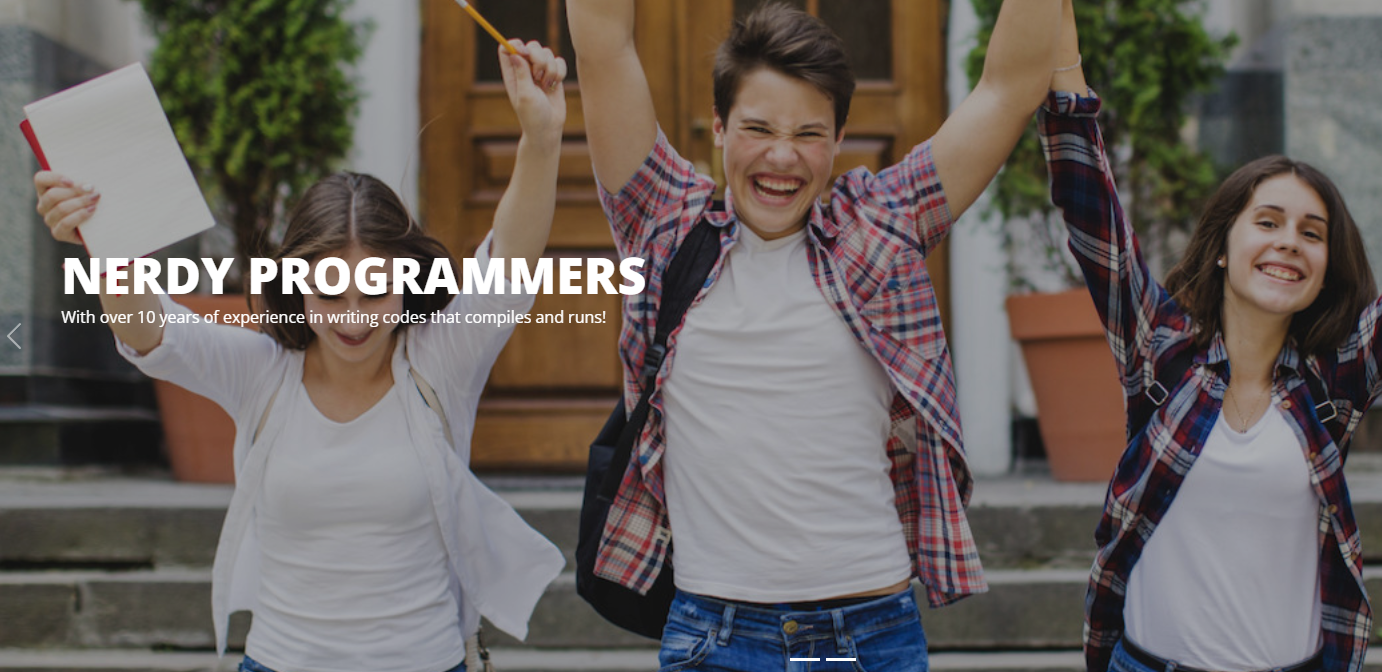 The Programming Assignment Help