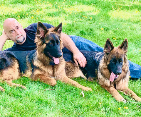 Phil's Dog Training