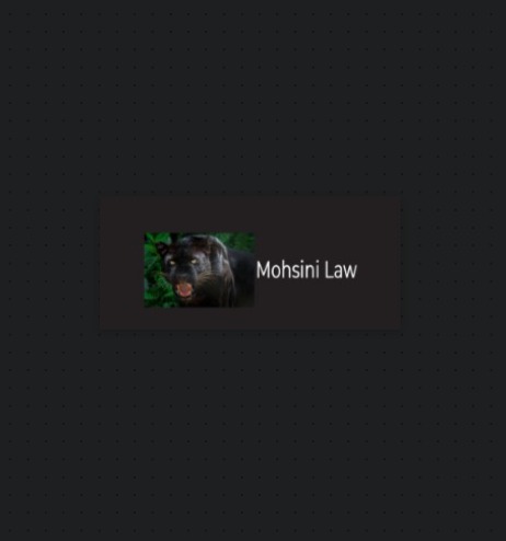 Mohsini Law - Criminal Defense