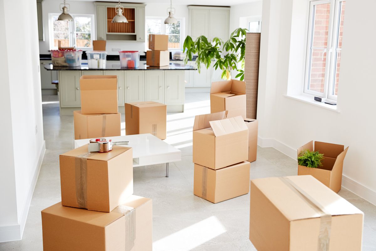 Fast Movers | Moving Company Ottawa ON - Reviews by Real Customers -  TrustAnalytica