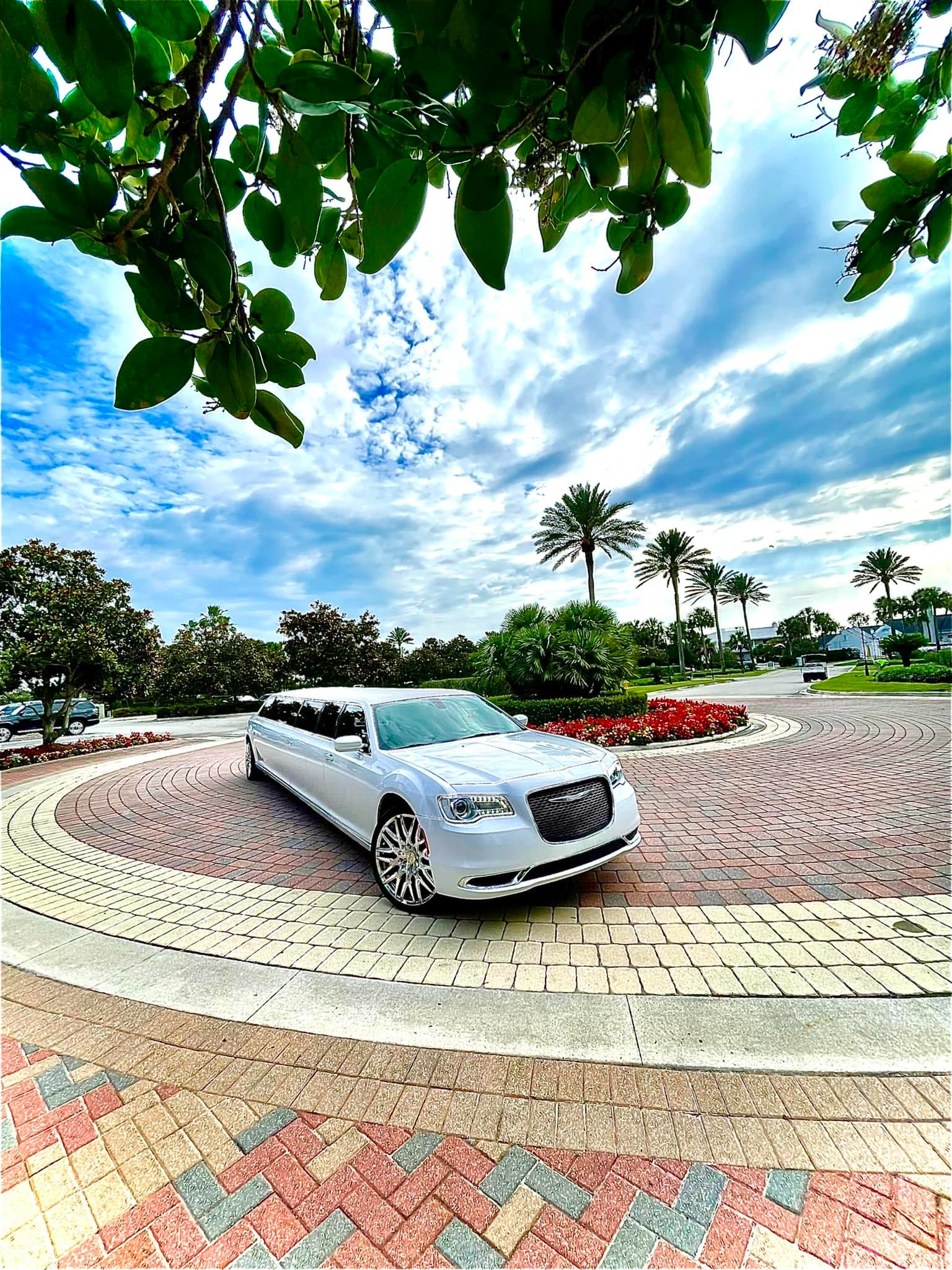 Twins Luxury Limousine