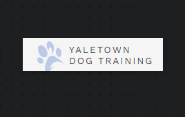 Yaletown Dog Training