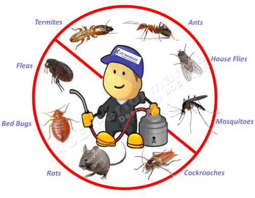 Pest Control Orlando