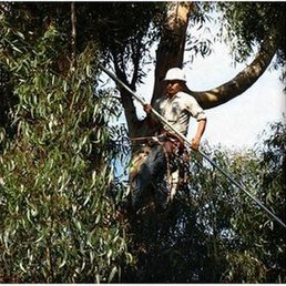 One Tripp Tree Service