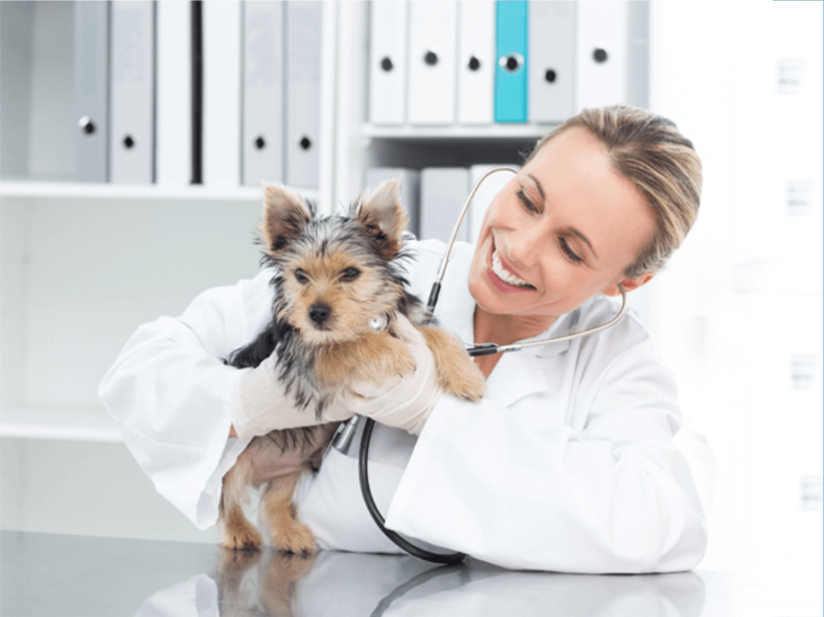 Western Animal Clinic reviews