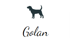 Golan Dogs