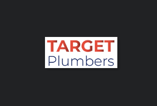 Target Plumber's
