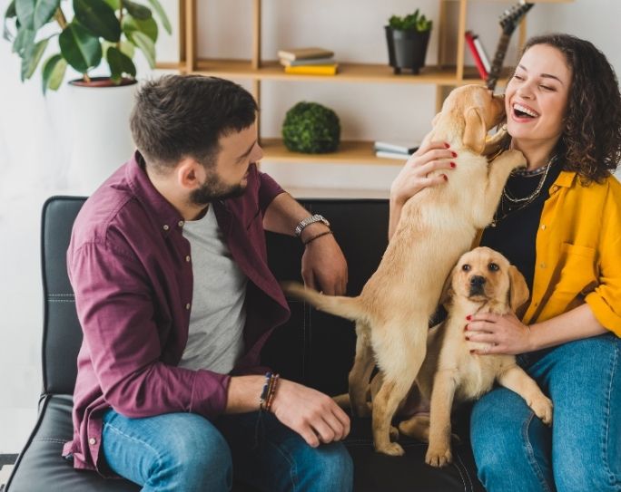 My Pet Service