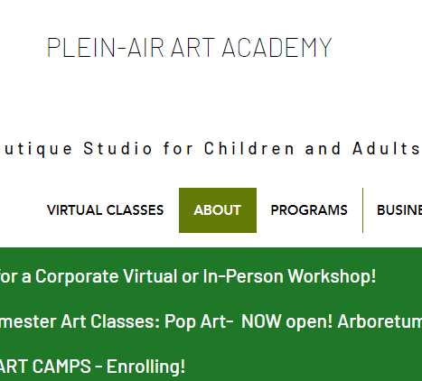 The Plein-Air Art Academy