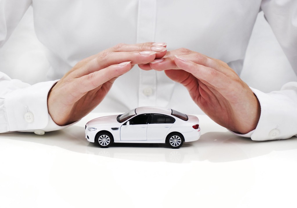 Cane and Co. Insurance