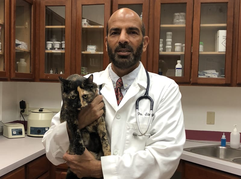 Advanced Veterinary Care Clinic