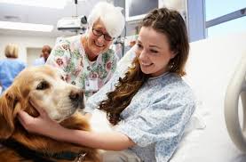 Saint Joseph Veterinary Center
