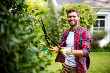 Sprouts Lawn Care