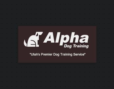 Alpha Dog Training
