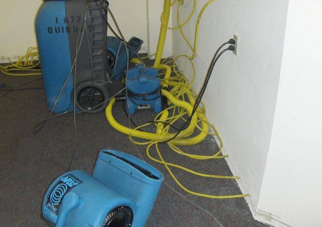 Royal Water Damage Repair Seattle