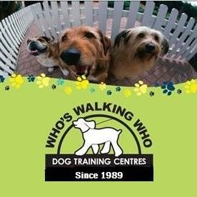 Who's Walking Who Dog Training