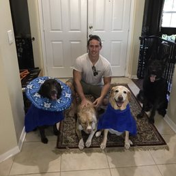 Penn's Canine Training