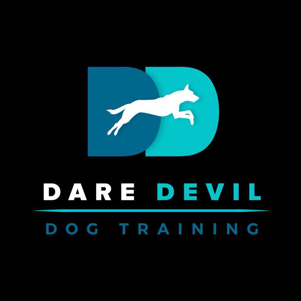 DareDevil Dog Training