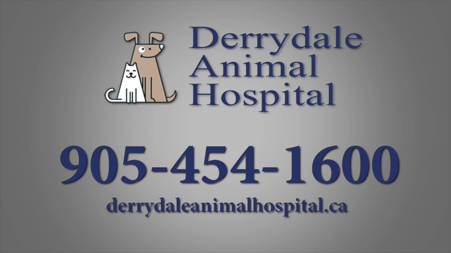 Derrydale Animal Hospital