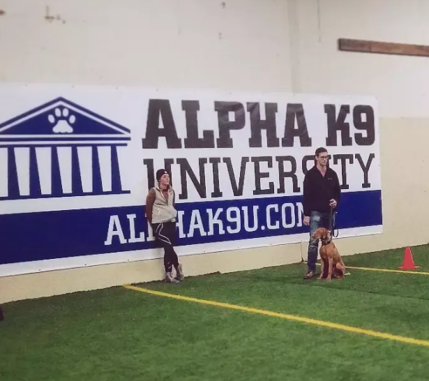 Alpha K9 U