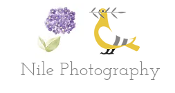 Nile Photography