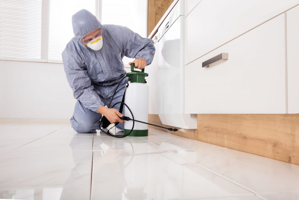 AAA Pest Protection Service