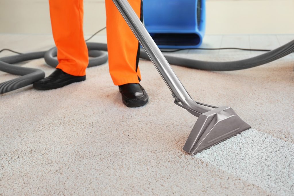 Ferris Fine Cleaning