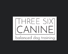 Three Six Canine