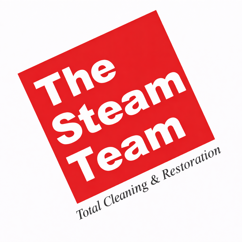 The Steam Team