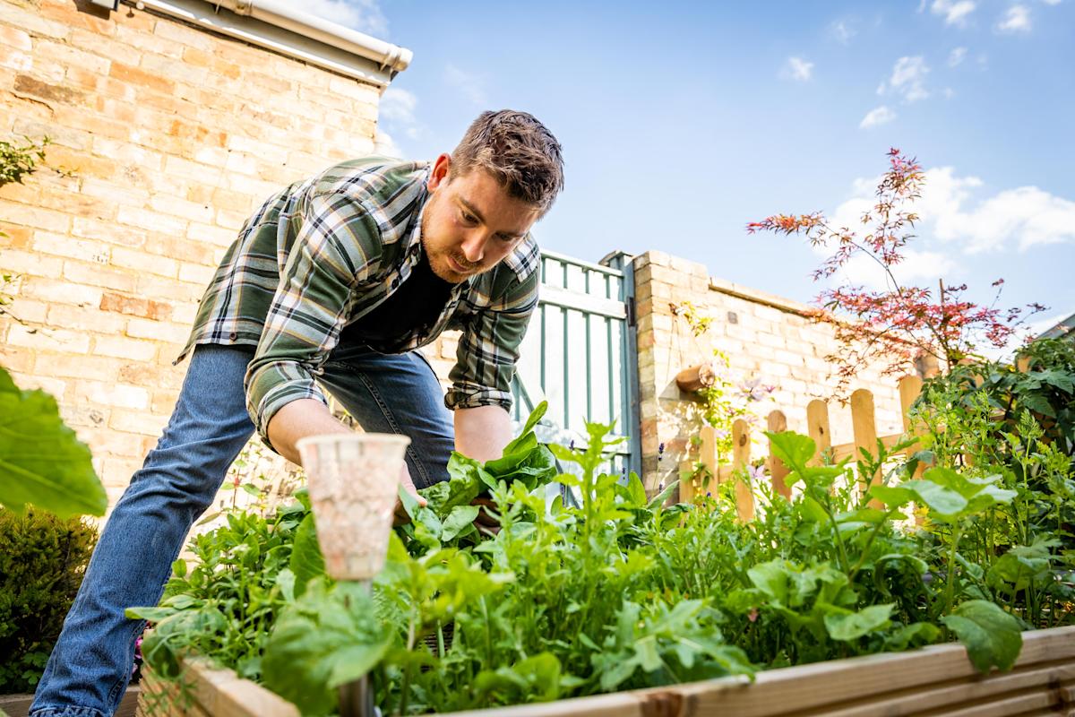 London Middlesex Master Gardeners