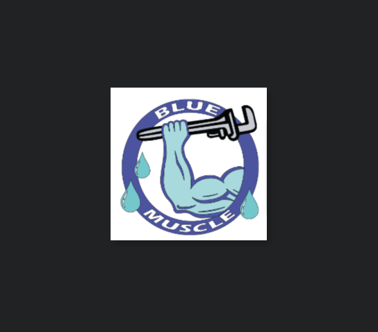 Blue Muscle Plumbing And Rooter Service