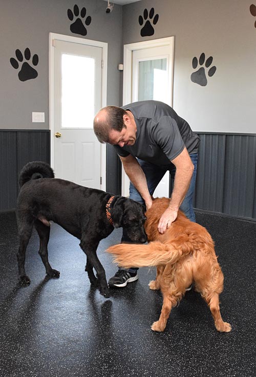 Cumberland Veterinary Clinic