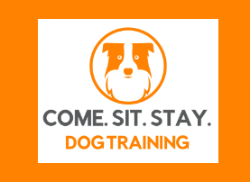 Come Sit Stay Dog Training