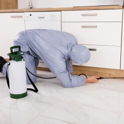 ProTec Thermal Pest Control Ltd.
