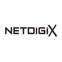 Netdigix IT Support - Managed Services, Consulting and Computer Support