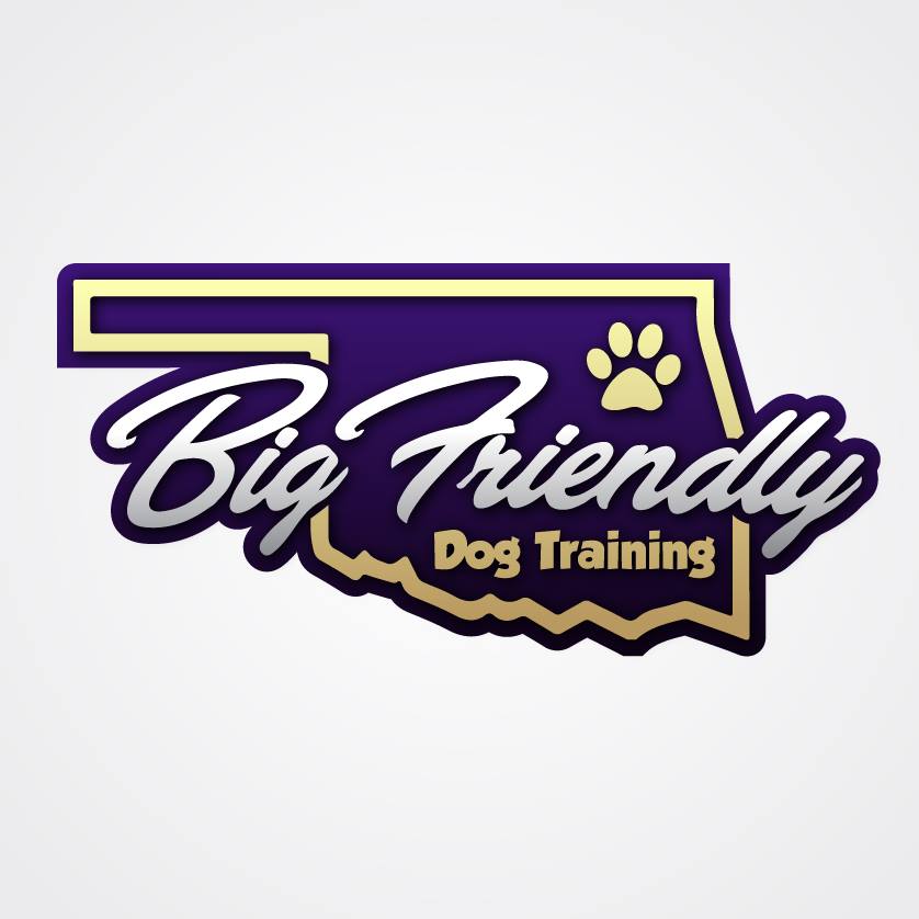 Big Friendly Dog Training