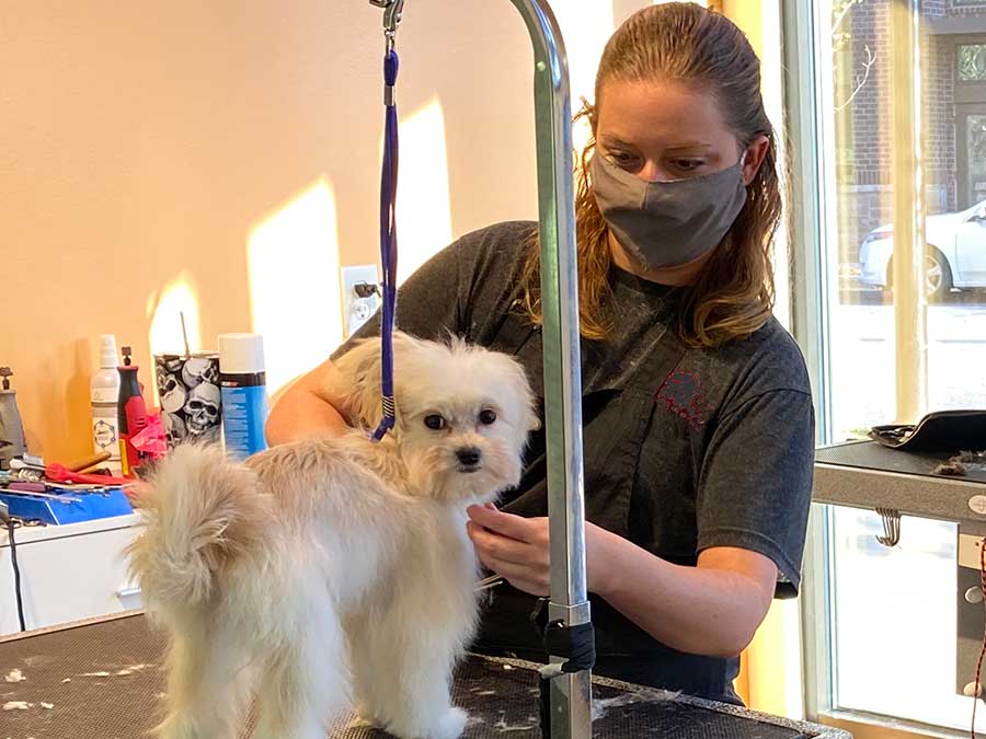 Full-service grooming and pet spa in Raleigh, NC