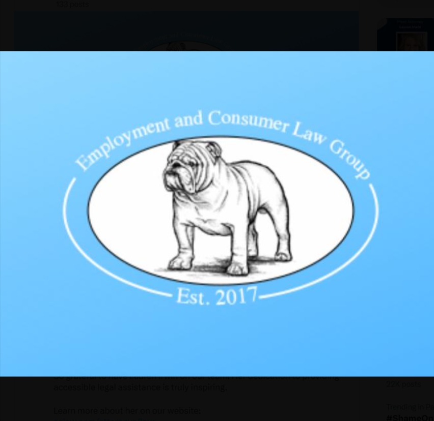 Employment and Consumer Law Group