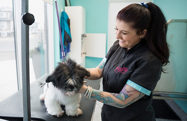 PAW SPA (Dog Grooming)