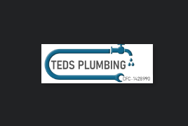 Ted's Plumbing Company