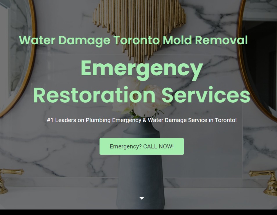 Water Damage Toronto Mold Removal Inc.