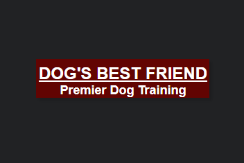 Dog's Best Friend
