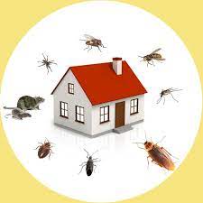 orkin pest control service near me